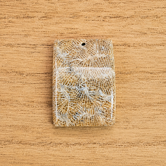 Fossil Coral Rectangle Cabochon. *Pre Drilled*.