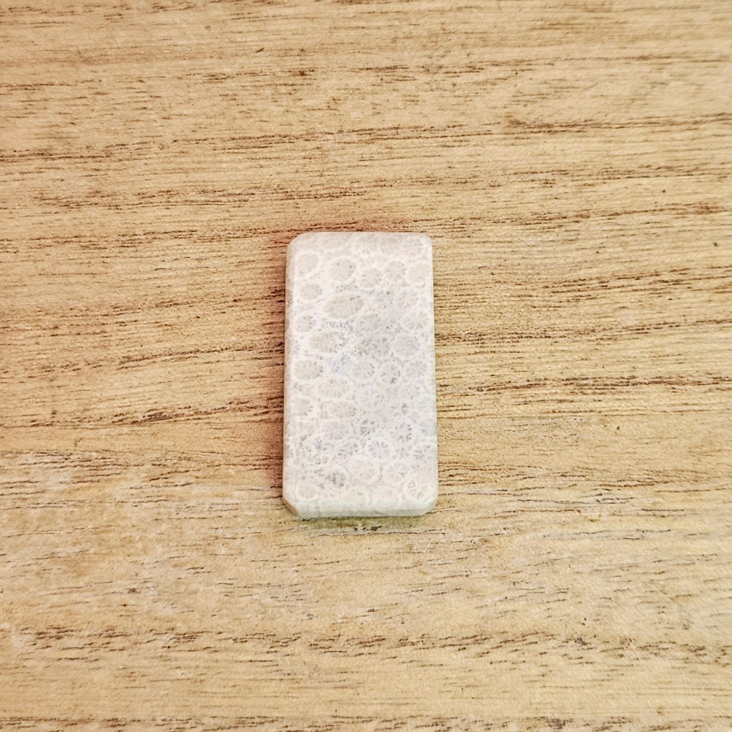 Fossil Coral Rectangle Cabochon.