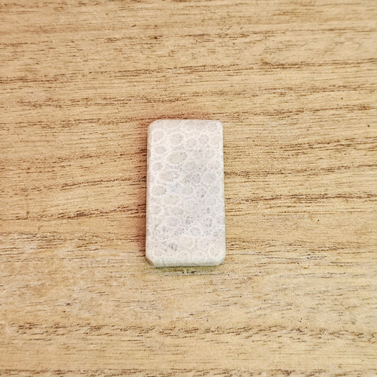 Fossil Coral Rectangle Cabochon.