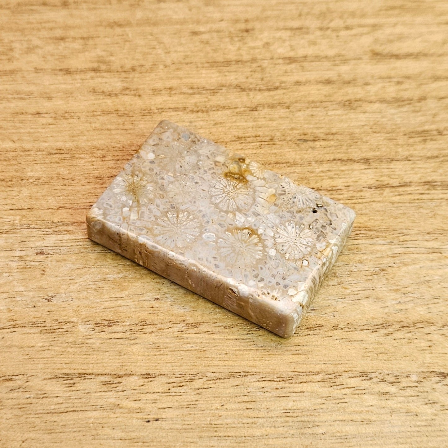 Fossil Coral Rectangle Cabochon.