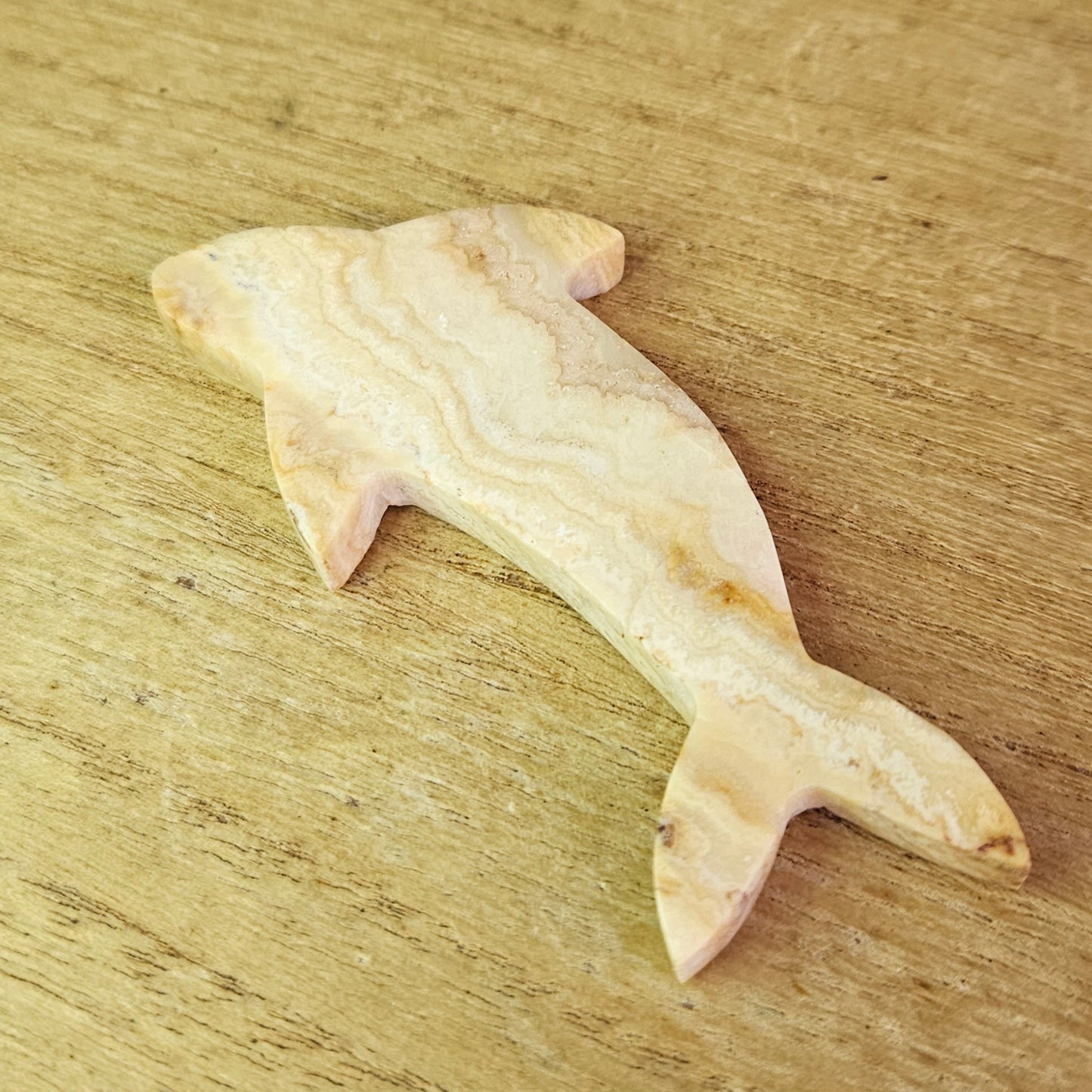 Yellow Crazy Lace Dolphin Carving.