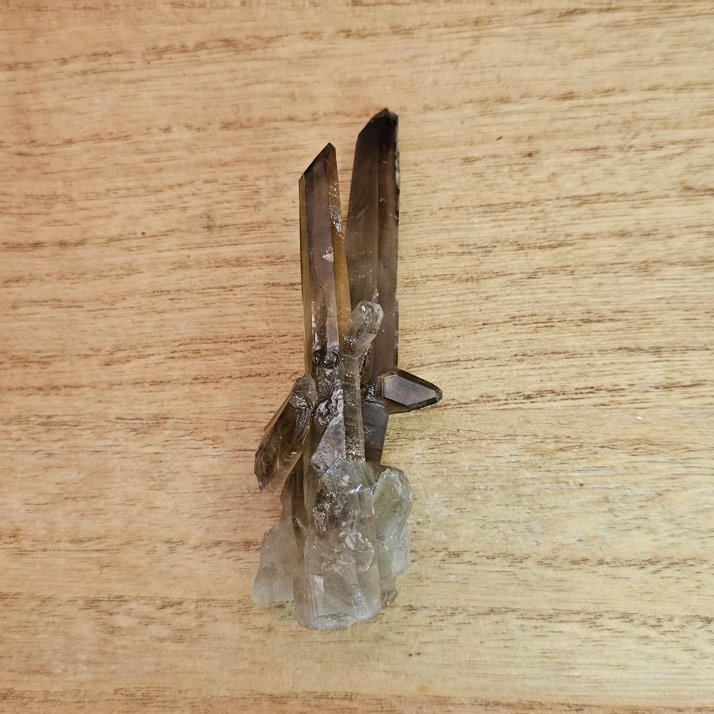 Smokey Quartz Cluster.