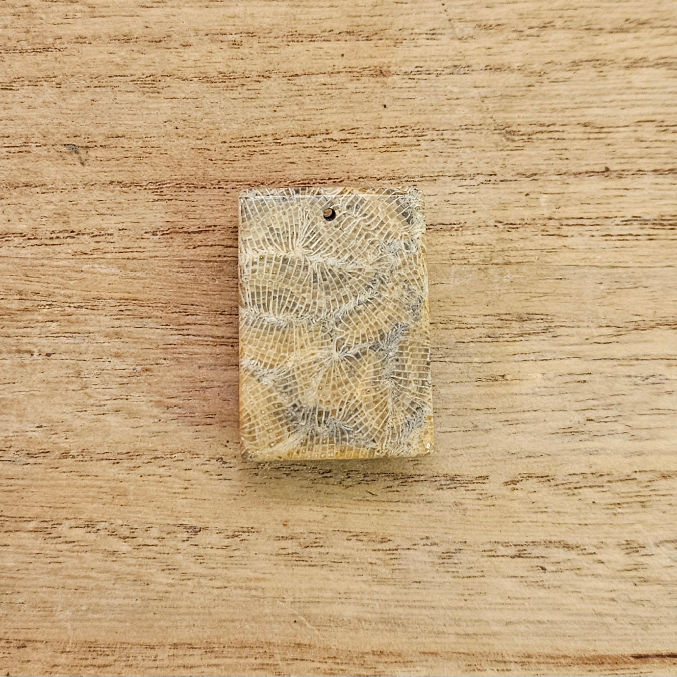 Fossil Coral Rectangle Cabochon. *Pre Drilled*.