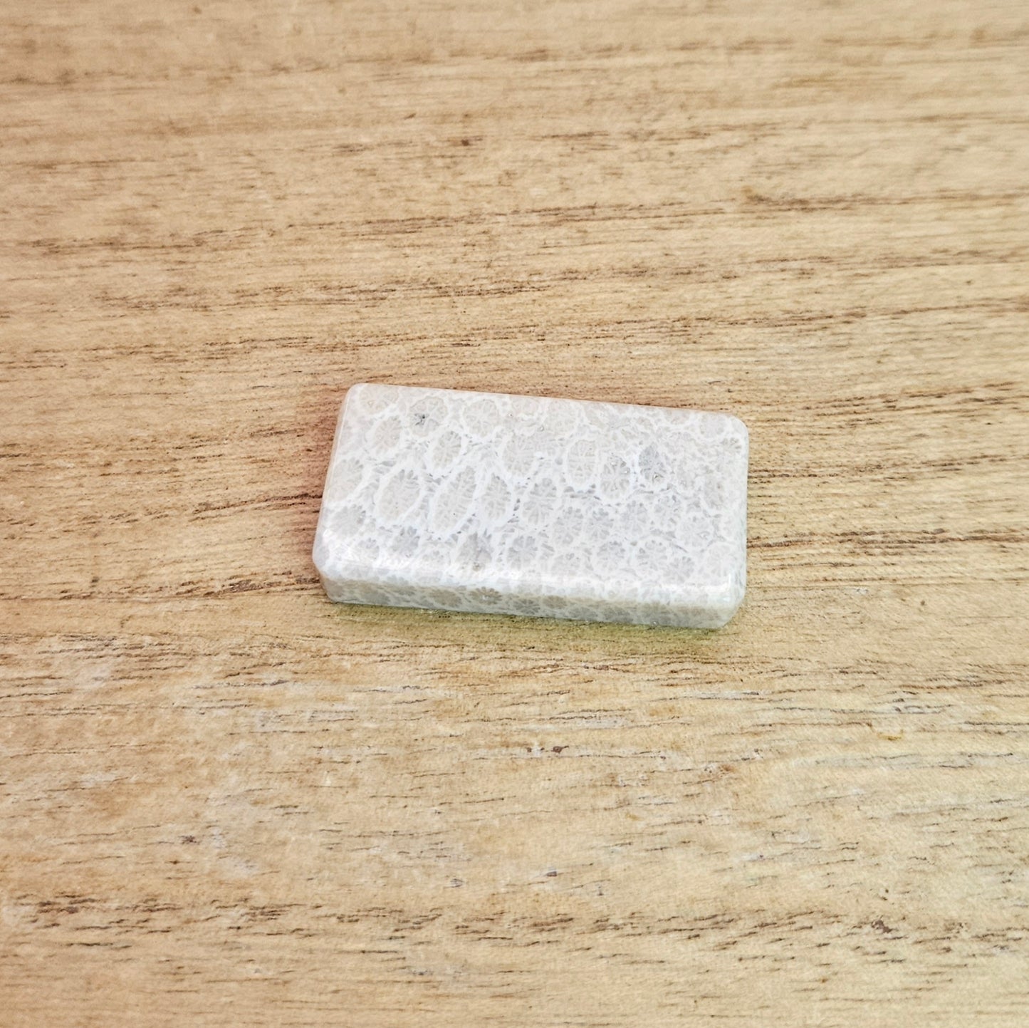 Fossil Coral Rectangle Cabochon.