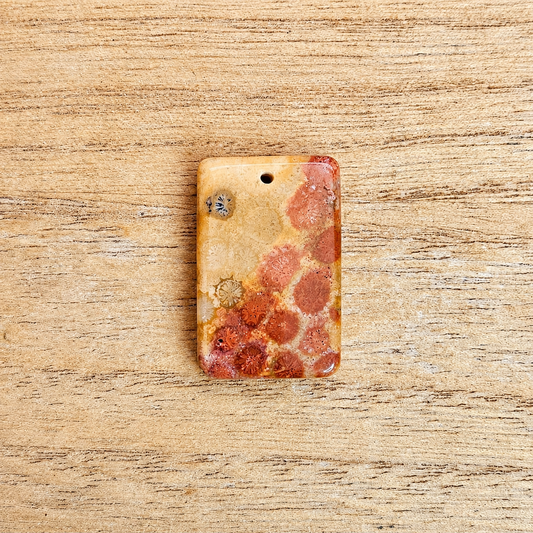 Fossil Coral Rectangle Cabochon. *Pre Drilled*.
