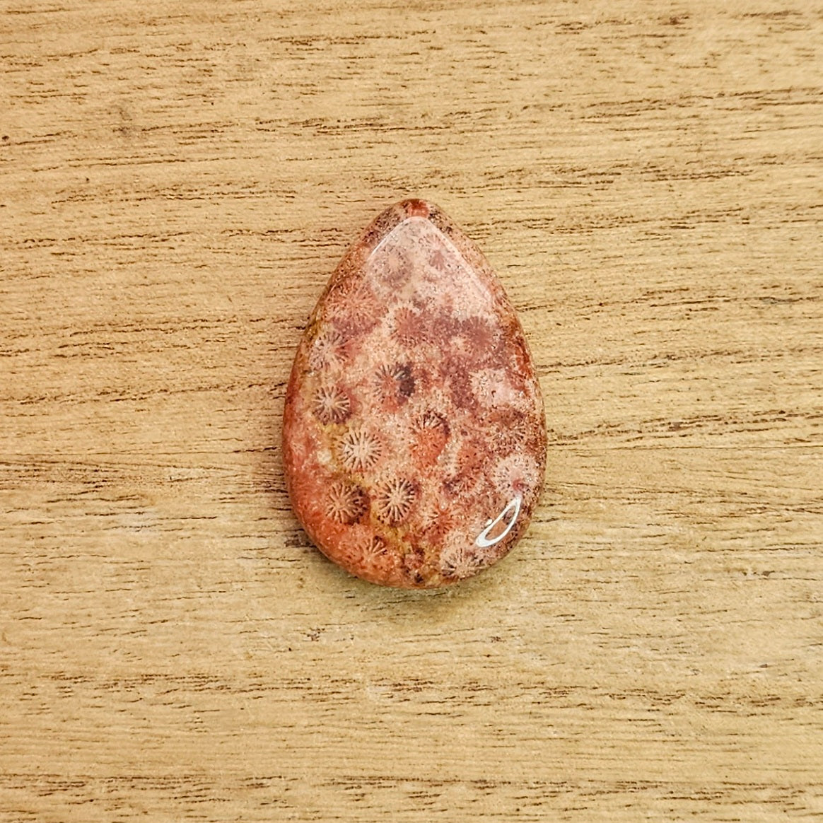 Fossil Coral Tear-drop Cabochon.