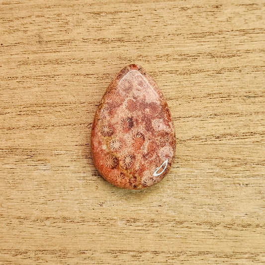 Fossil Coral Tear-drop Cabochon.