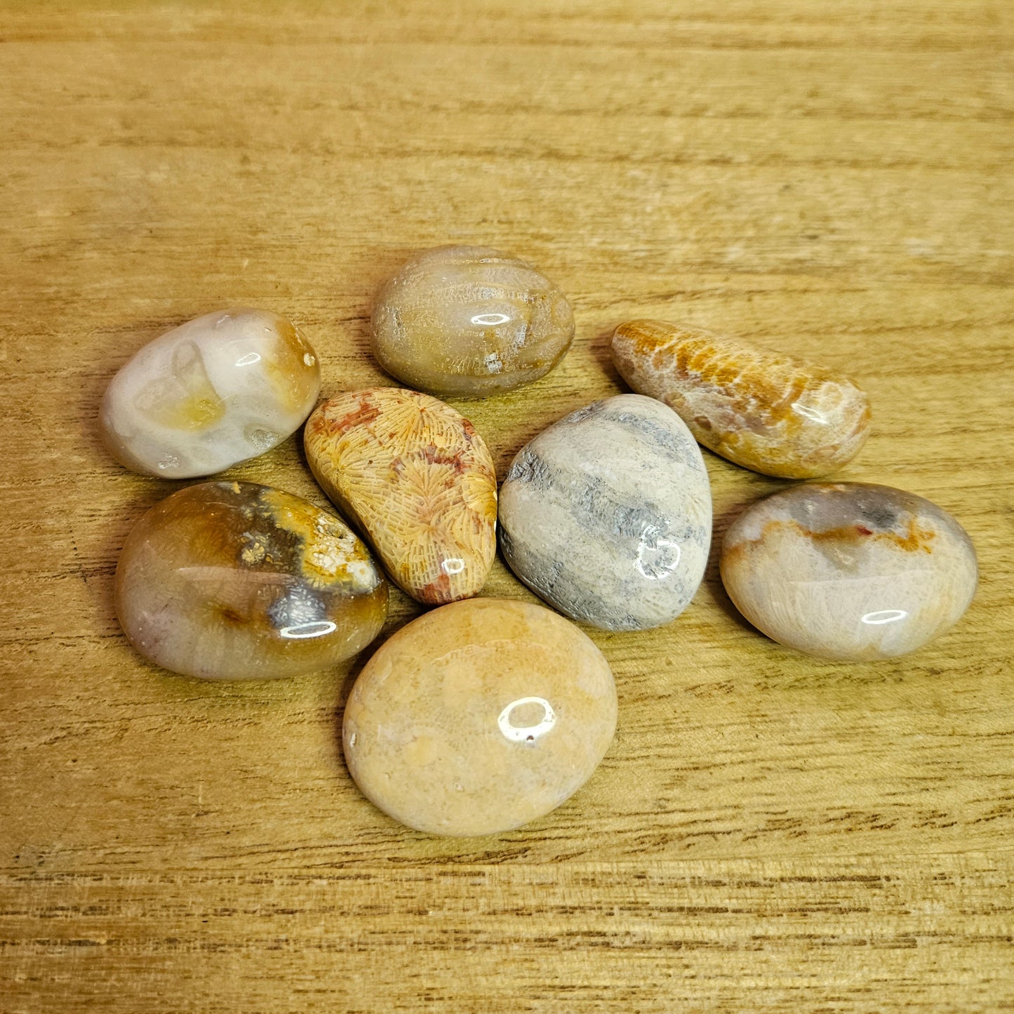 Fossil Coral Tumble.