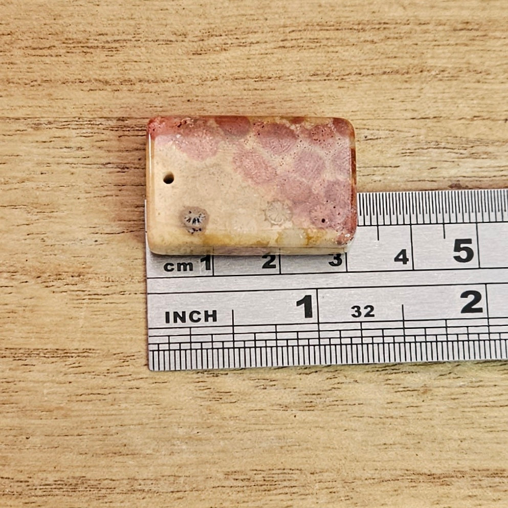 Fossil Coral Rectangle Cabochon. *Pre Drilled*.